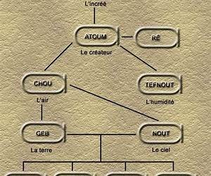 La Généalogie des morts (French Edition) La Généalogie des morts (French Edition)
