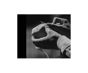 La mirada cautiva: Escritos sobre arte