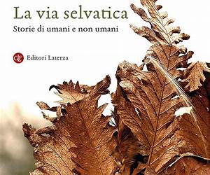 La via selvatica: Storie di umani e non umani (Italian Edition) La via selvatica: Storie di umani e non umani (Italian Edition)
