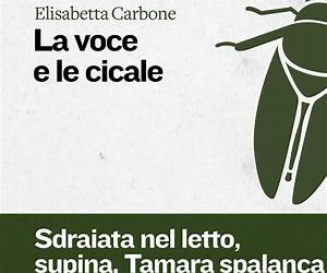 La voce e le cicale (Italian Edition) La voce e le cicale (Italian Edition)
