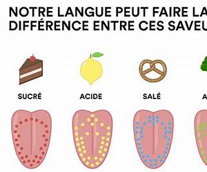 Le goût des fraisestome 3