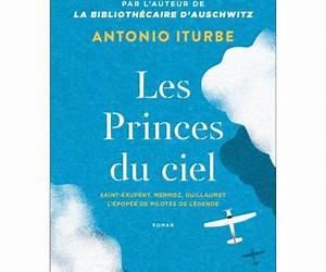 Les Princes du ciel: Saint-Exupéry, Mermoz, Guillaumet, l'épopée de pilotes de légende Les Princes du ciel: Saint-Exupéry, Mermoz, Guillaumet, l'épopée de pilotes de légende