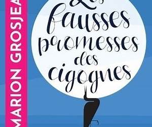 Les fausses promesses des cigognes (French Edition) Les fausses promesses des cigognes (French Edition)
