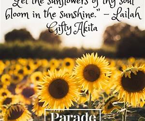 Life with the Sunflowers