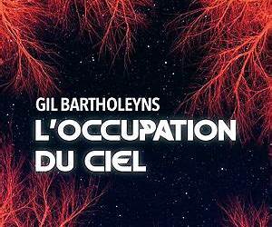L'occupation du ciel (French Edition) L'occupation du ciel (French Edition)