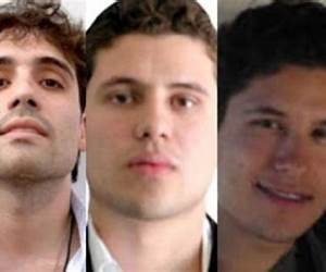 Los Chapitos: Radiografía criminal de los herederos del cártel de Sinaloa (Spanish Edition) Los Chapitos: Radiografía criminal de los herederos del cártel de Sinaloa (Spanish Edition)