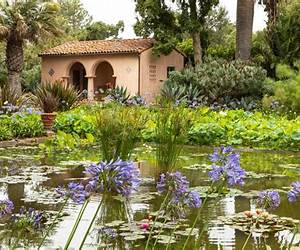 Lotus Land #5