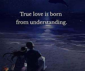 Love \u0026 understanding (V brothers) (Italian Edition)