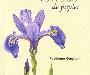 MON HERBIER DE PAPIER MON HERBIER DE PAPIER