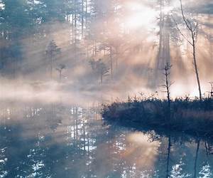 Magical Morning Moments: Awakening to Love and Light