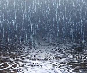March Rains March Rains