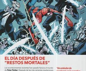 Marvel Premiere. El Asombroso Spiderman 14 La telaraña rota Marvel Premiere. El Asombroso Spiderman 14 La telaraña rota