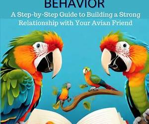 Mastering Parrot Behavior: A Step-by-Step Guide to Building a Strong Relationship with Your Avian Friend