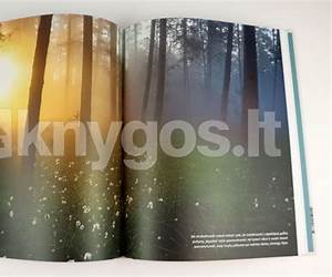 Metai. Gamtos fotografo dienoraštis II Metai. Gamtos fotografo dienoraštis II