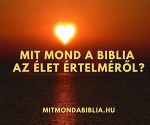 Mi az az élet, ami élni akar benned?Eszközök egy boldog(abb) élethez Mi az az élet, ami élni akar benned?Eszközök egy boldog(abb) élethez