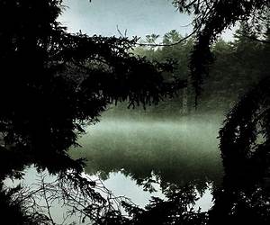 Modern Fog Modern Fog