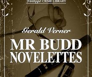Mr Budd Novelettes (Stories of Crime and Detection) Volume 5 (contains The House of the Goat, The Seven Sleeping Men and The Man on the Train) (Vintage Crime Library)