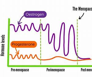 Muscle Through Menopause: Kinda Vintage, Kinda Savage: Real conversation, facts and solutions to take control of the menopause dilemma through muscular strength and nutrition.