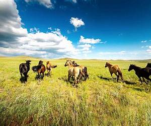 Mustang Meadow (Redemption Mountain #23) Mustang Meadow (Redemption Mountain #23)