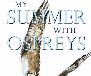 My Summer with Ospreys: A Therapist's Journey Toward Hope, Community, and Healing our Planet My Summer with Ospreys: A Therapist's Journey Toward Hope, Community, and Healing our Planet