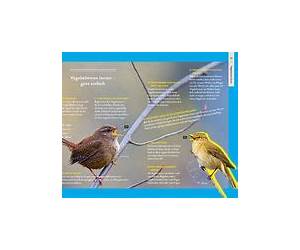 Nature Guide Vögel Nature Guide Vögel