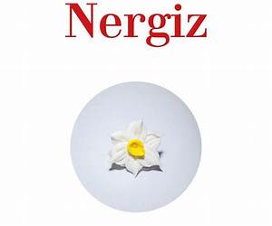 Nergiz. Racconti dal Kurdistan