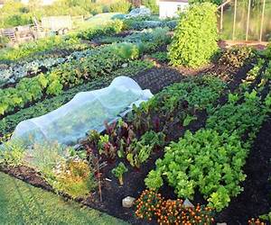 No Dig Gardening: Grow More, Work LessA Simple Guide to No Till Gardening No Dig Gardening: Grow More, Work LessA Simple Guide to No Till Gardening