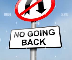 No Going Back : Book 2 of The Chiddleigh Saga No Going Back : Book 2 of The Chiddleigh Saga