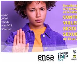 Nos survivantesViolences sexuelles : le pouvoir des proches (Leduc Société) (French Edition) Nos survivantesViolences sexuelles : le pouvoir des proches (Leduc Société) (French Edition)