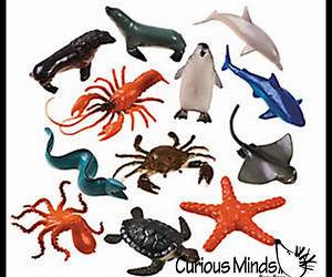 Ocean Life for Little Curious Minds: Discover Amazing Marine Animals with Colorful Illustrations and Fun Facts Ocean Life for Little Curious Minds: Discover Amazing Marine Animals with Colorful Illustrations and Fun Facts