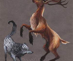 Of Wolves and Stags Of Wolves and Stags