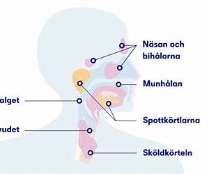 Om en hals
