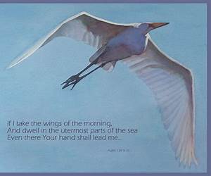 On the Wings of the Morning: Walking in Step with Amelia Earhart (At the Crossroads) On the Wings of the Morning: Walking in Step with Amelia Earhart (At the Crossroads)