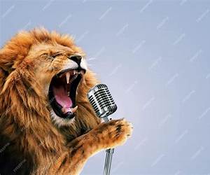 Open Mic For Animals: Evidential Fairy Tails Open Mic For Animals: Evidential Fairy Tails