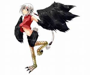 Ostrich Girl | An illustrated chapter book on biodiversity and conservation (hOle Book)