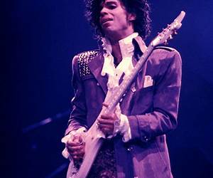 PRINCE: I BULLI DI STANFORD (Italian Edition) PRINCE: I BULLI DI STANFORD (Italian Edition)