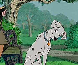 Perdita: On Loss Perdita: On Loss