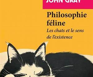 Philosophie féline