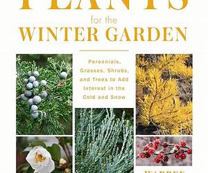 Plants for the Winter Garden: Perennials, Grasses, Shrubs, and Trees to Add Interest in the Cold and Snow