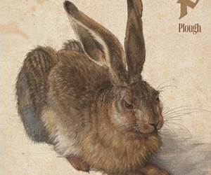 Plough Quarterly No. 39 – The Riddle of Nature
