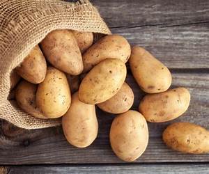 Potatoes: The Best Recipes in the World: (Underground Delights: A Culinary Odyssey with Potatoes Around the Globe) Potatoes: The Best Recipes in the World: (Underground Delights: A Culinary Odyssey with Potatoes Around the Globe)