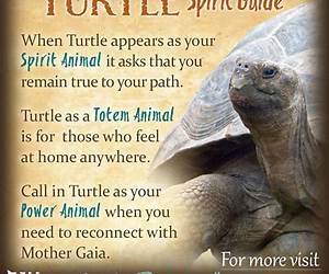 Power Animals: Unlocking the Mystical Wisdom of Totem Spirits through Shamanic Journeying, Dream Interpretation, and Intuitive Connections (Spirituality)