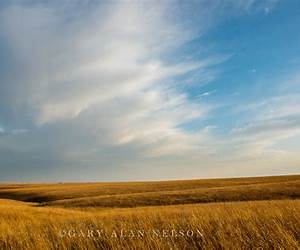 Prairie Sky: A Small Town, Boy Next Door Romance (Primrose Book 1)