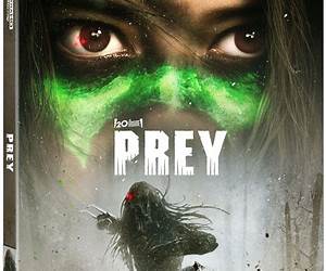 Prey: The chilling, twisty new Sam Shephard Mystery