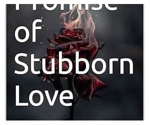 Promise of Stubborn Love: Love Wins Continue Promise of Stubborn Love: Love Wins Continue
