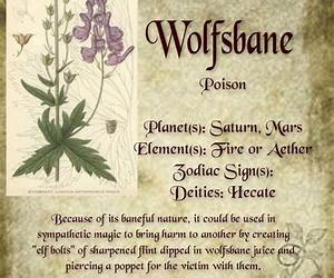 Pruning the Wolfsbane (Witches of the Poison Garden Book 2)