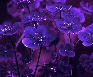 Purple (BluePurpleRainbow Vol. 2) (Italian Edition) Purple (BluePurpleRainbow Vol. 2) (Italian Edition)