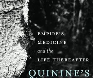 Quinine's Remains: Empire's Medicine and the Life Thereafter Quinine's Remains: Empire's Medicine and the Life Thereafter