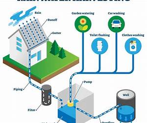 Rainwater Harvesting for Beginners: A step-by-step guide to collecting rainwater in the modern home Rainwater Harvesting for Beginners: A step-by-step guide to collecting rainwater in the modern home