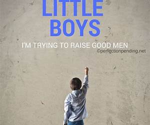 Raising Boys to Men: A Simple, Mercifully Short Book on Raising and Homeschooling Boys Raising Boys to Men: A Simple, Mercifully Short Book on Raising and Homeschooling Boys